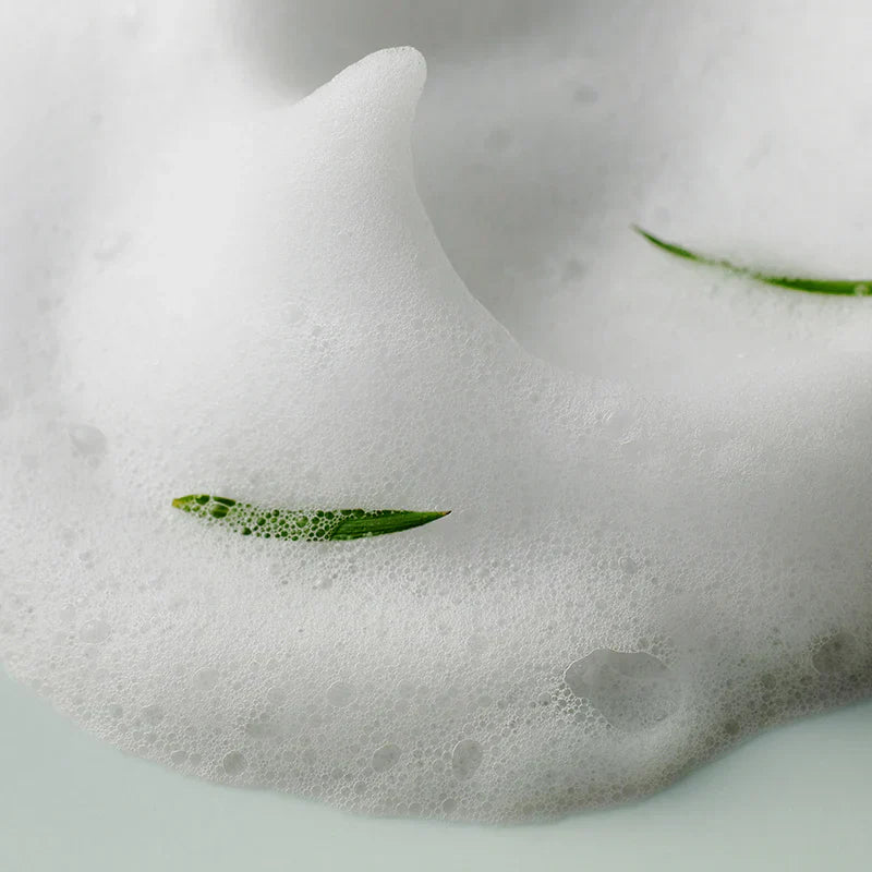 Some By Mi | AHA BHA PHA 30 Days Miracle Acne Clear Foam