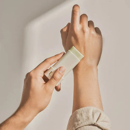 Beauty Of Joseon | Matte Sun Stick Mugwort+Camelia SPF 50+ PA++++