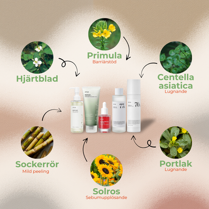 Anua | Den Ultimata Hudvårdsrutinen