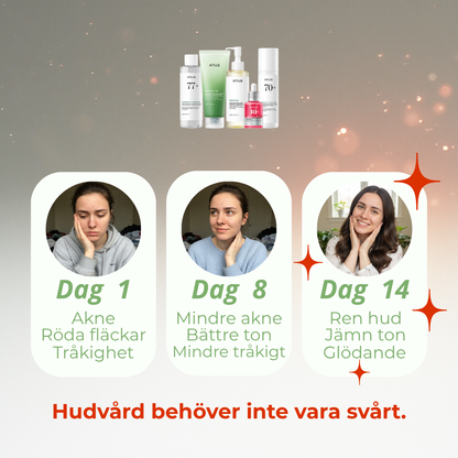 Anua | Den Ultimata Hudvårdsrutinen