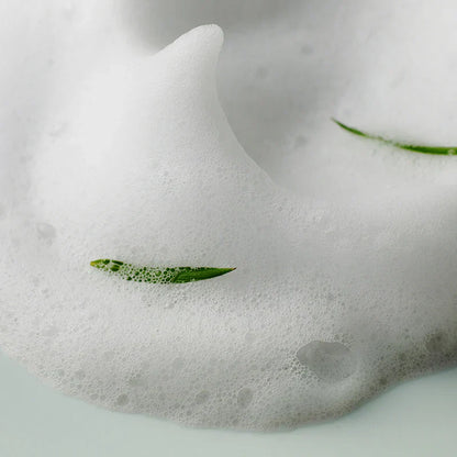 Some By Mi | AHA BHA PHA 30 Days Miracle Acne Clear Foam